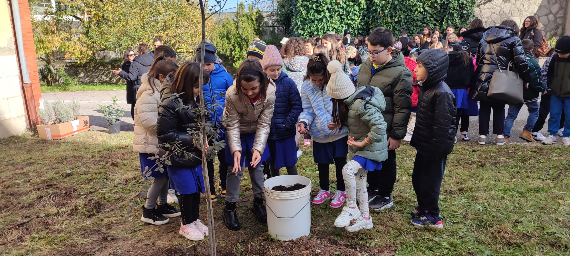 Plesso di Riccia – Giornata dell’Albero